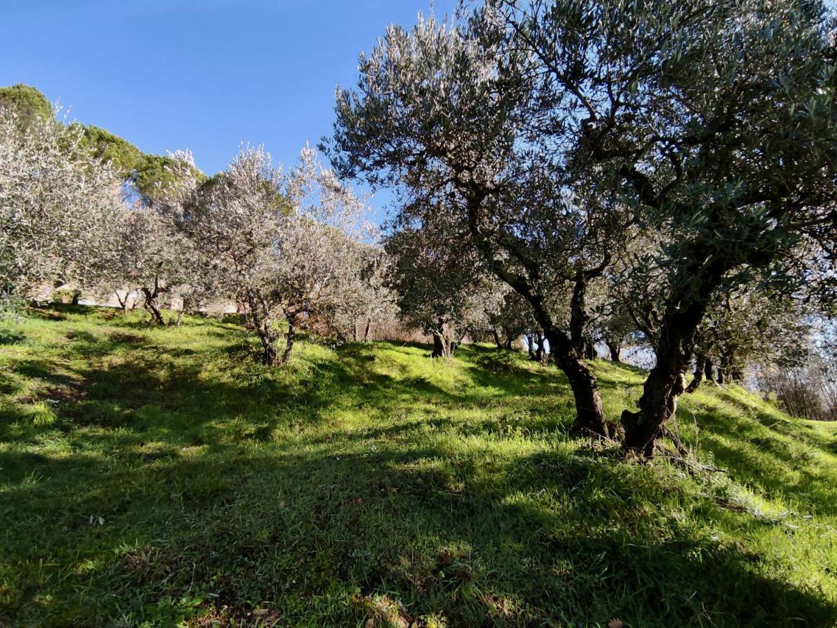 Fonte Degna - Alloggio E Sito Storico Citerna Exterior foto